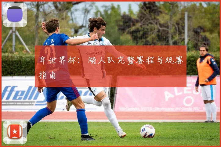 年世界杯：湖人队完整赛程与观赛指南