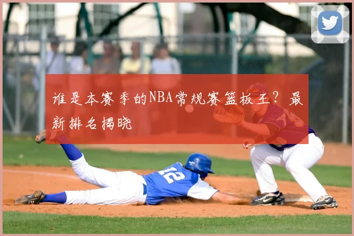 谁是本赛季的NBA常规赛篮板王?最新排名揭晓